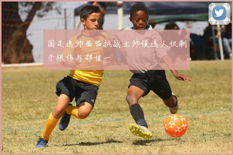 国足选帅面临挑战土帅候选人仅剩于根伟与邵佳一